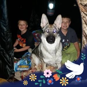 Meet your Posher, Heather